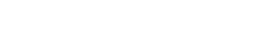 Apostolic Life
