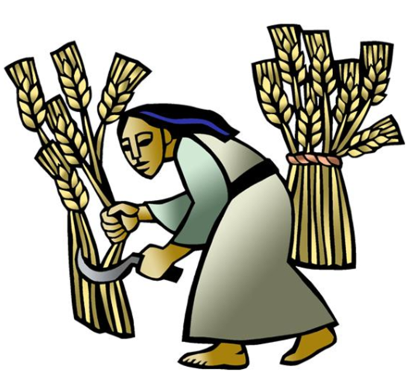 Sunday, June 14, 2026 - 3rd Sunday after Pentecost