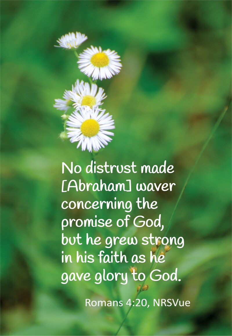 Sermon for June 7, 2026
