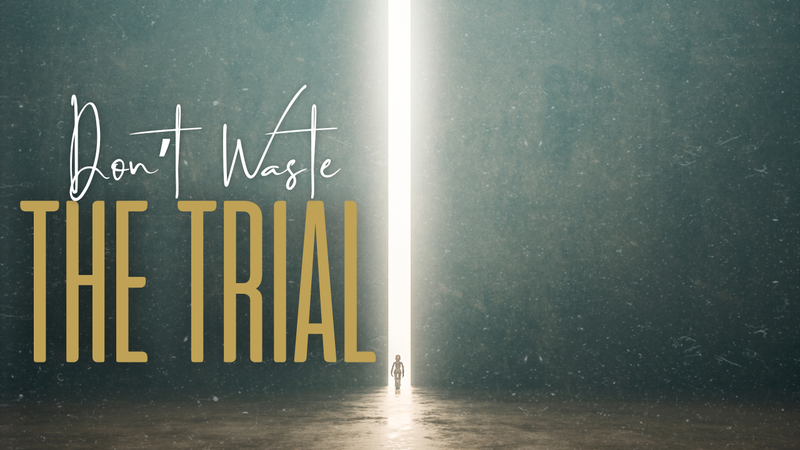 Don't Waste The Trial