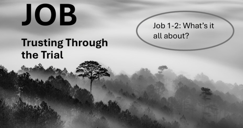 "Job: Trusting through the trial. Ch. 1-2...what's it all about?"