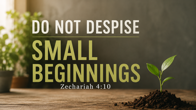 Do Not Despise Small Beginnings