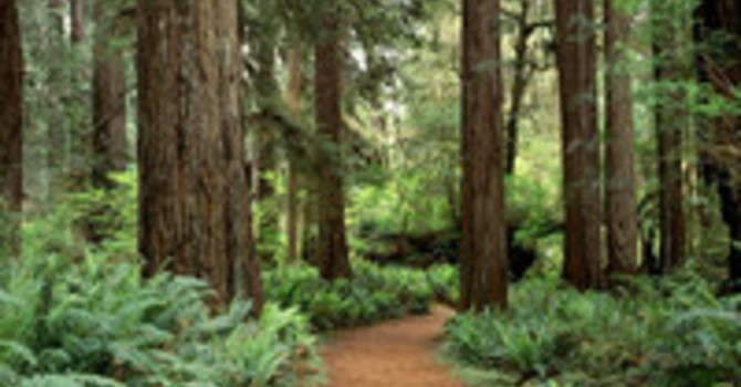 Outdoor Sacred Spaces Program