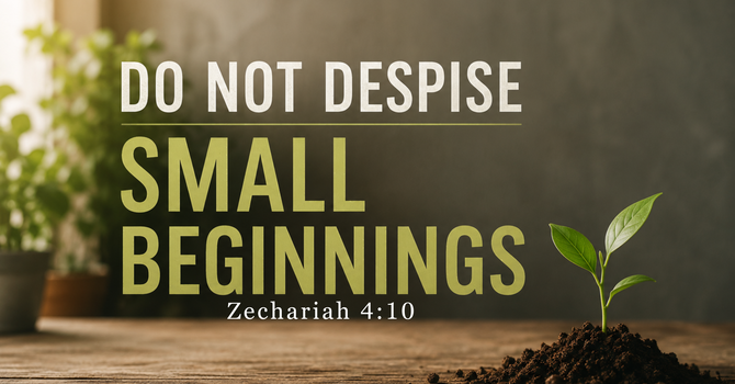 Do Not Despise Small Beginnings