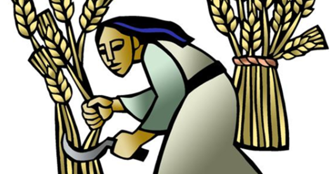 Sunday, June 14, 2026 - 3rd Sunday after Pentecost