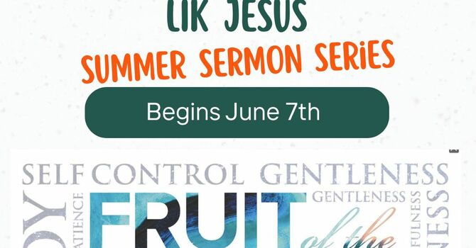 The Fruit That Starts it All 