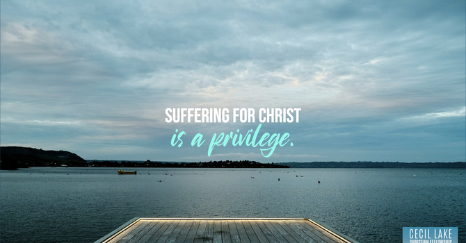 “THE PRIVILEGE OF THE PERSECUTED” image
