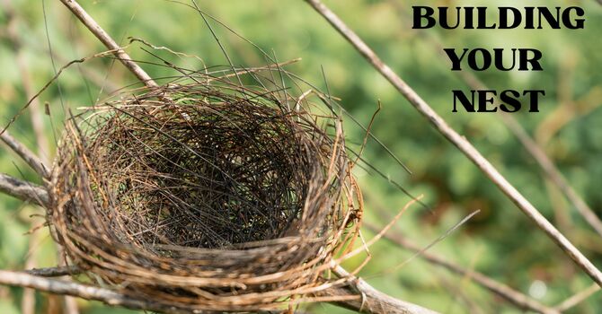 Building Your Nest