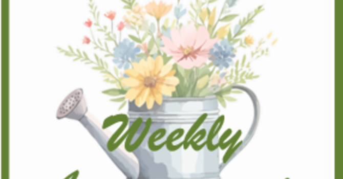 Weekly Announcements