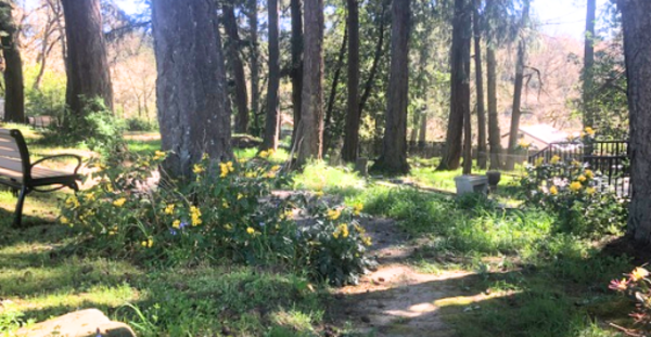 Quiet Garden