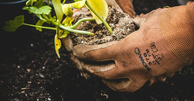 Youth Community Garden Service Project – June 25