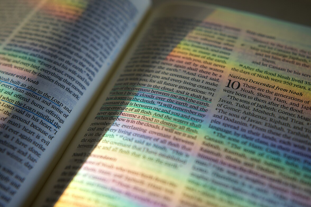 Slideshow image