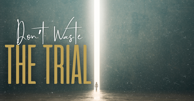 Don't Waste The Trial