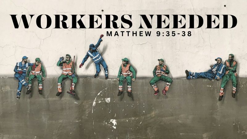Workers Needed