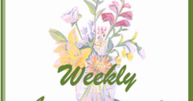 Weekly Announcements