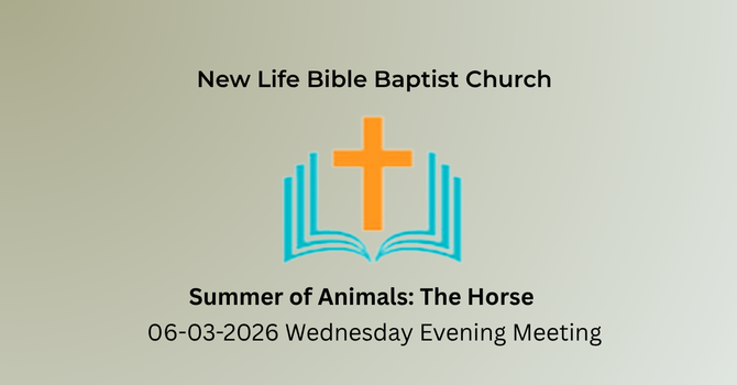 Summer of Animals: The Horse