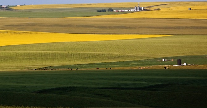 Central Alberta Region