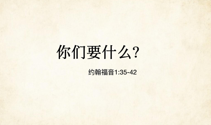 你们要什么