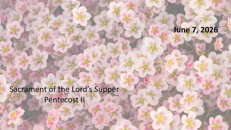 Sermon: “Mattering” 