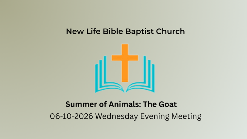 Summer of Animals: The Goat