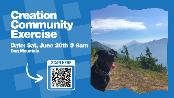 Dog Mountain Hike