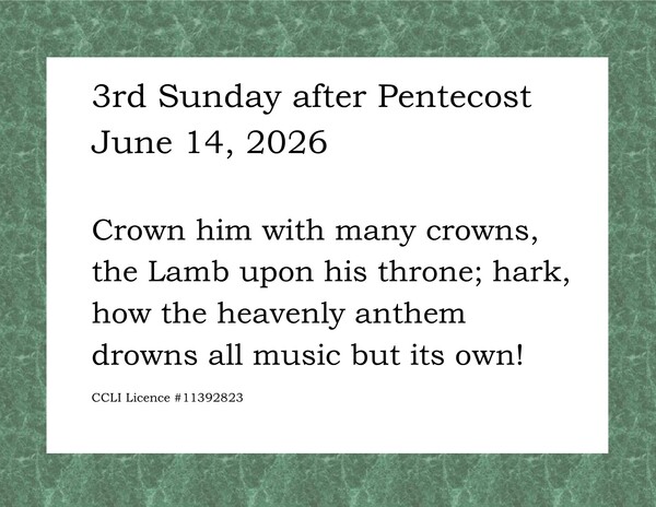 3rd Sunday after Pentecost