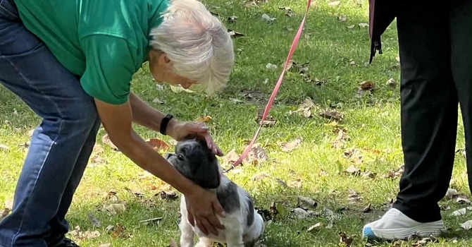 Worship in the Park - Blessing of the Animals!