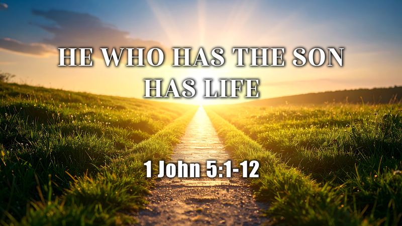He Who Has the Son Has Life