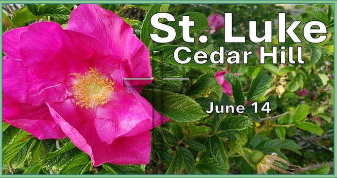 Services for the Third Sunday after Pentecost