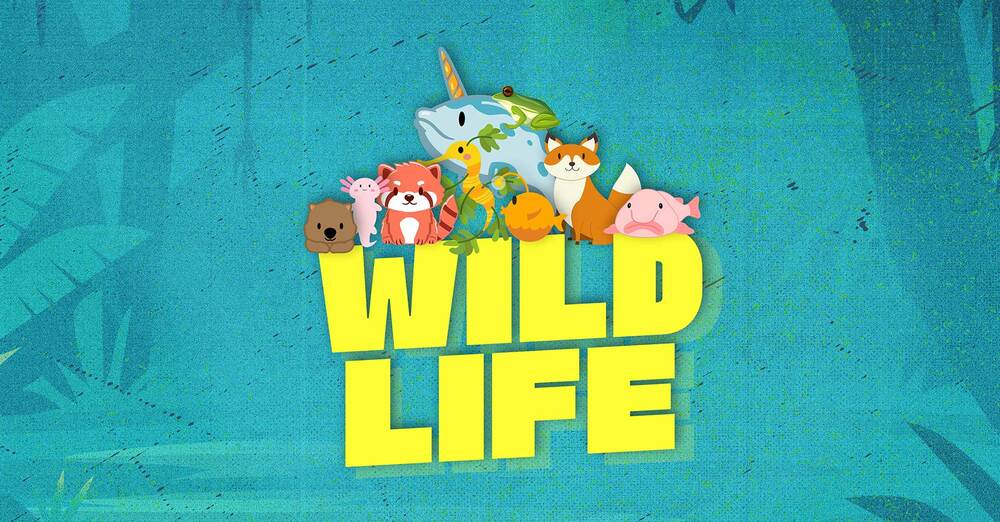 Vacation Bible School