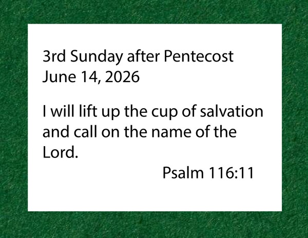 3rd Sunday after Pentecost
