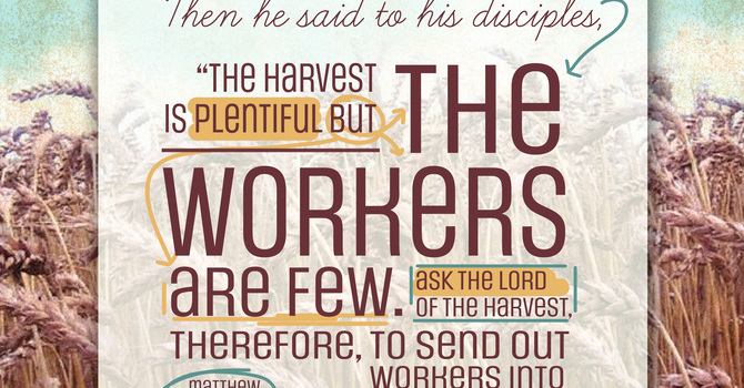 Worship Bulletins