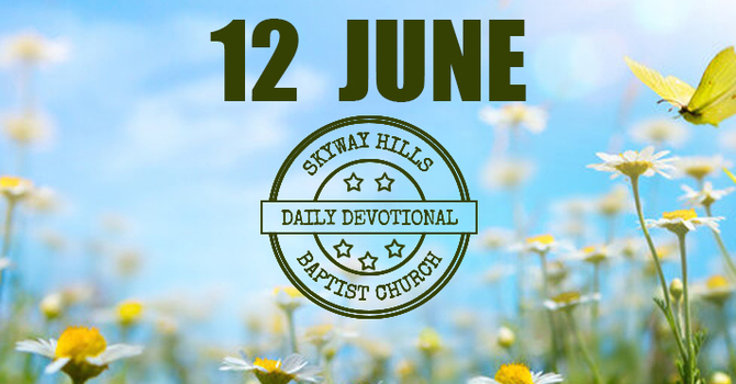 Obey the Book image