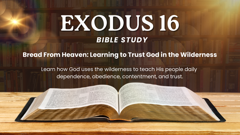 Exodus 16 Bible Study 