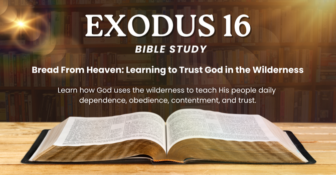 Exodus 16 Bible Study 
