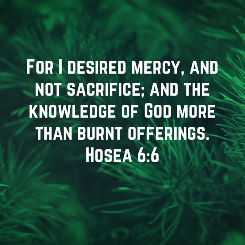 Mercy, Not Sacrifice