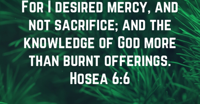 Mercy, Not Sacrifice
