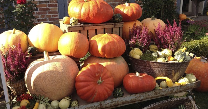 150th Celebration / Fall Festival