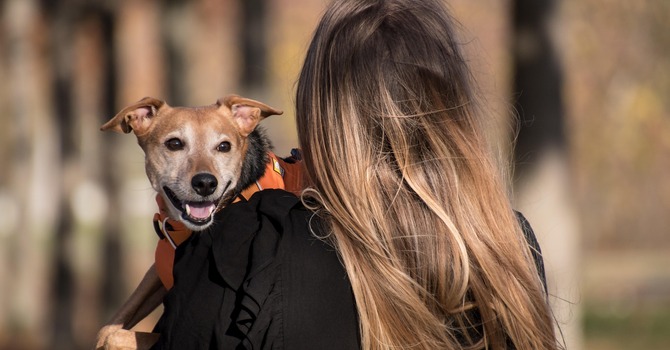 Pet Blessing Weekend