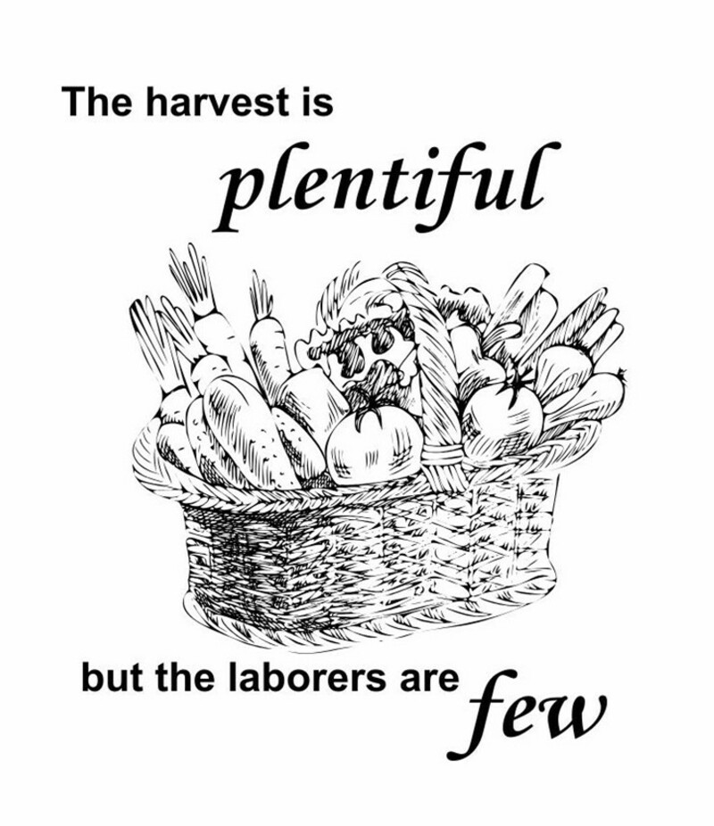 Third Sunday After Pentecost