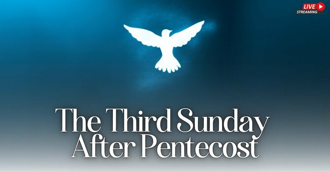 3rd Sunday after Pentecost