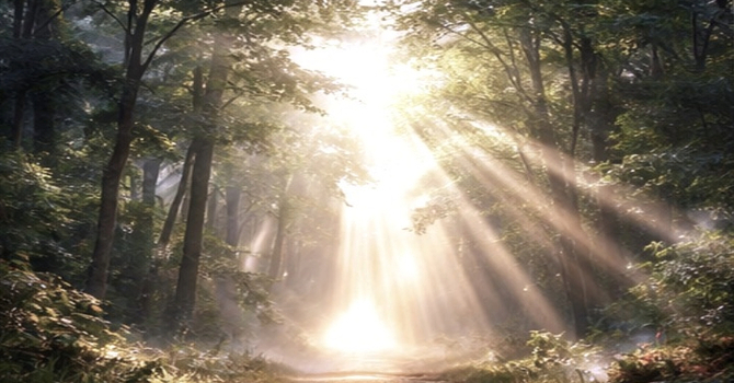 “The God Who Shines Through All Things”