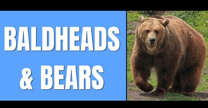 Baldheads & Bears
