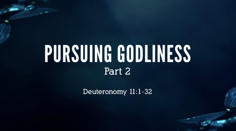 Pursuing Godliness, Part 2