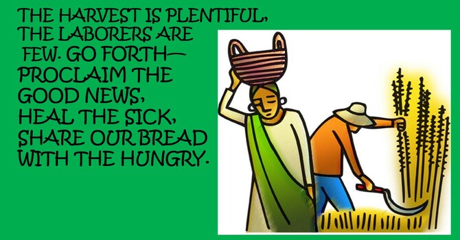The Harvest is Plentiful