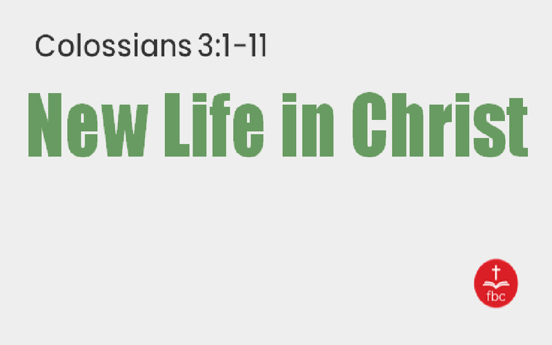 New Life in Christ