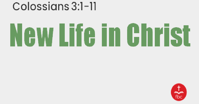 New Life in Christ