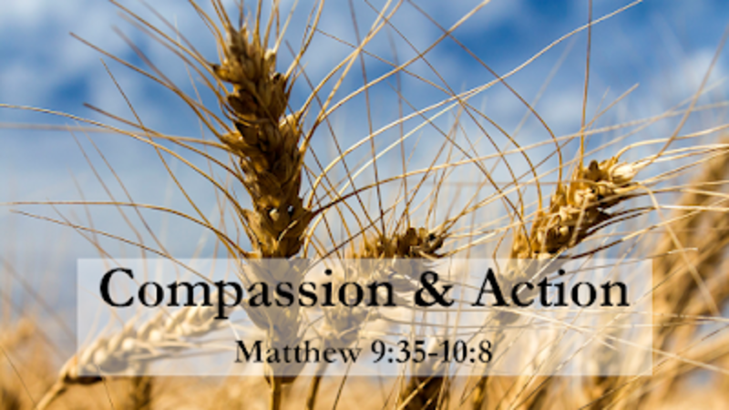 Sermon for June 14, 2026 by The Rev. Joseph J. Rose 