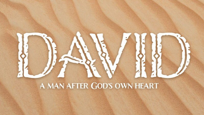 Psalm 8  (The Psalm of David) 