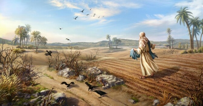 The Parable of the Sower